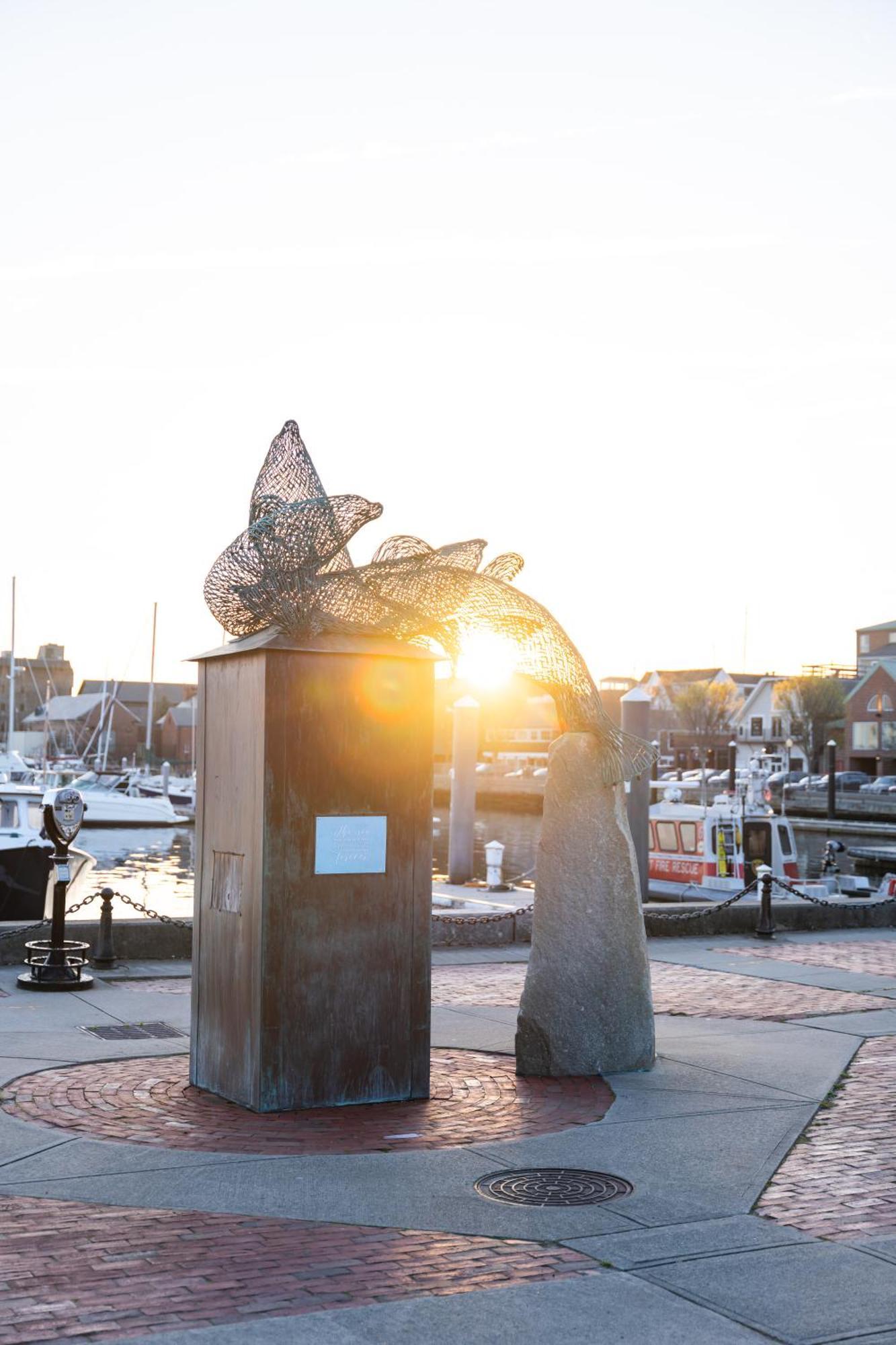 Newport &