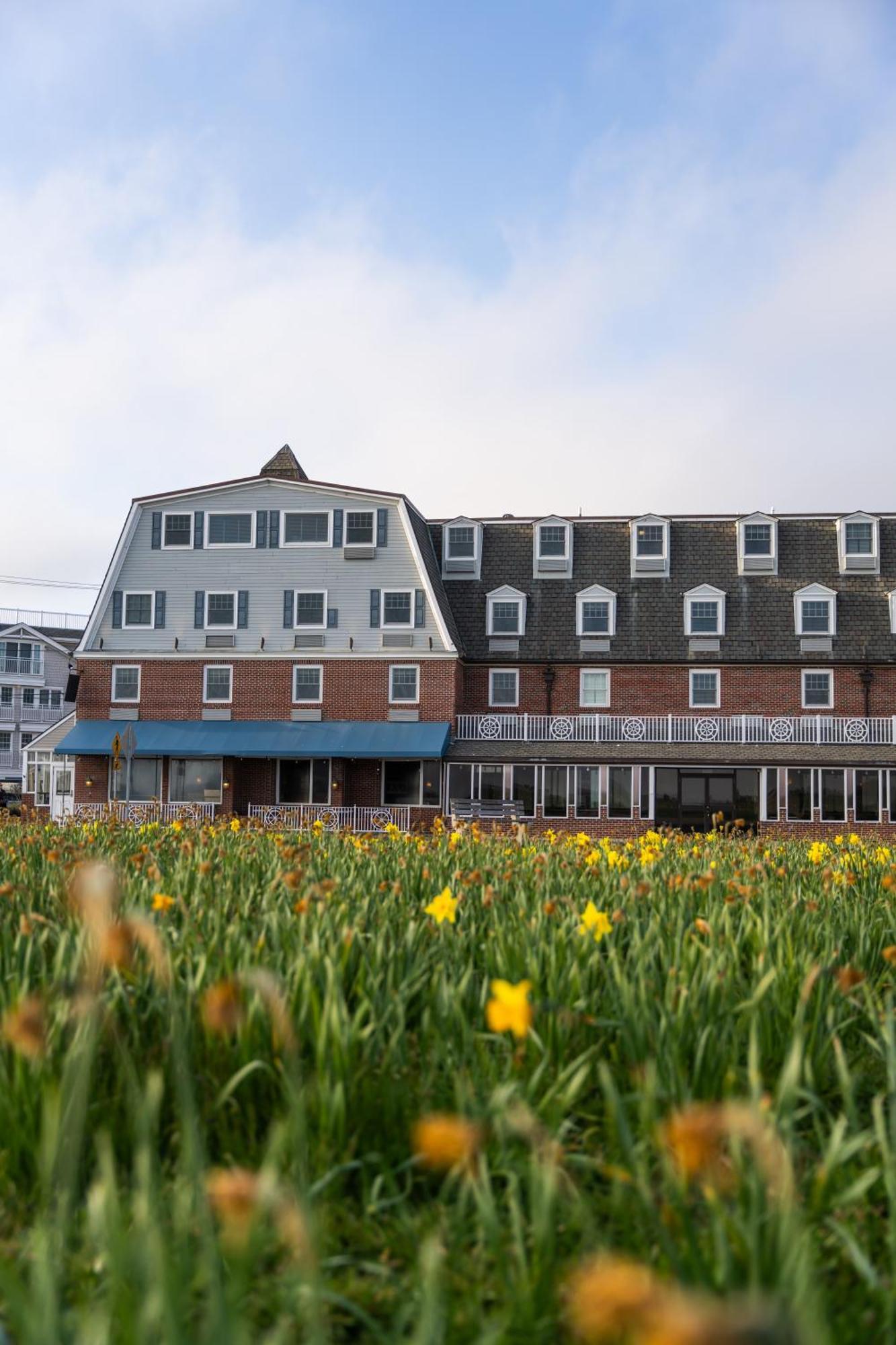 Hotel Newport &